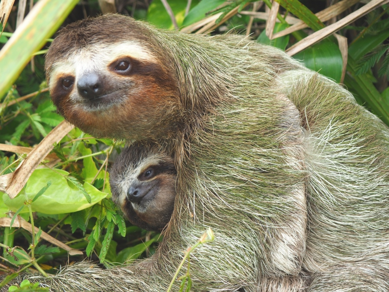 Parques Nacionales de Costa Rica con Guanacaste